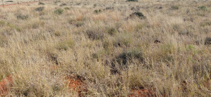 Commercial Property for Sale in Jacobsdal Rural Free State